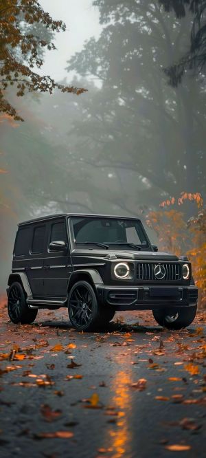 Wallpaper