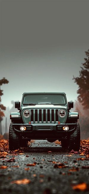 Wallpaper