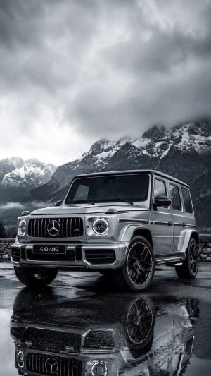 Wallpaper