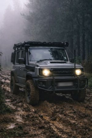 Wallpaper