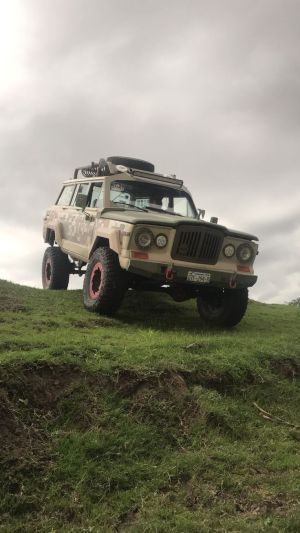 Wallpaper